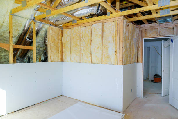 Best Cellulose Insulation in Plains, KS