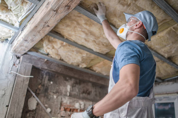 Best Residential Insulation in Plains, KS