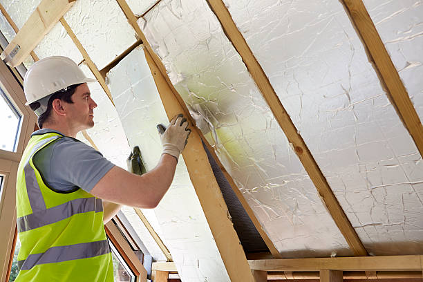Best Insulation Maintenance and Repair in Plains, KS