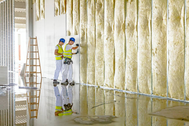 Best Insulation Maintenance and Repair in Plains, KS